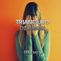 Triangulo de Amor (Remix) [Explicit]