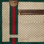 GUCCI BAG (Explicit)