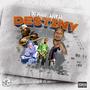 Destiny (Explicit)