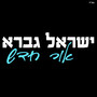 אור חדש