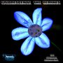 The Fluorescente Remixes
