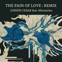 The Pain of Love (Remix)