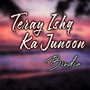 Teray Ishq Ka Junoon