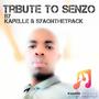 Two Songs For Senzo (Extended Play) [Explicit]