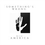 Something's Wrong with America (feat. T.S. Rose)