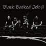 Black Backed Jekyll