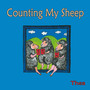 Counting MY Sheep