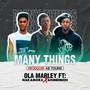 Many Things