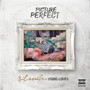 Picture Perfect (Remix) [Explicit]