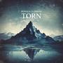 Torn