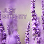 Just Serenity - Soothing Relaxation Songs