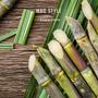 sugarcane