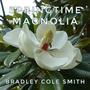 Springtime Magnolia