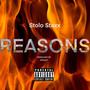 Reasons (Explicit)