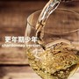 更年期少年 (Chardonnay Version)