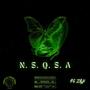 N. S. Q. S. A (Explicit)