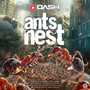 Ants Nest