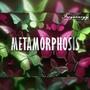 METAMORPHOSIS