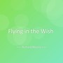 Flying in the Wish