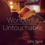 Wonderful Untouchable