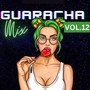 GUARACHA MIX VOL.12