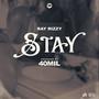 Stay (feat. Ray Rizzy) [Explicit]