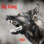 Big Dawg (feat. Rookie) [Explicit]