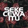 Sekecewa Itu (Cover Version)