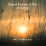 Distant Thunder & Rain for Sleep with Cricket Sound