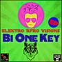 Elektro Afro Vision