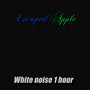 White noise 1 hour