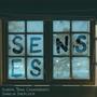 Senses (feat. Trina Chakrabarti & Shaolin Sherlock)