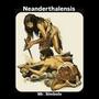 neanderthalensis (Explicit)