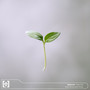 New Life