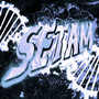 SETAM (Explicit)