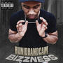 Bizzness (Explicit)