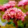 Romanza del recuerdo (feat. Maira Cosco & Ana Laura Rimoldi) [Explicit]