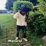 Natural (Explicit)