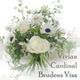 Brudens visa