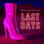 Last Days (feat. Chris Housman) [Radio Edit]