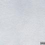 Snow (Explicit)
