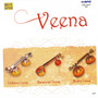 Vichitra Veena, Rudra Veena, Saraswati Veena