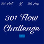 301 Flow (Explicit)