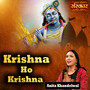 Krishna Ho Krishna