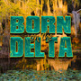 Born on the Delta: Traditional Bayou Blues
