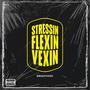 Vexing Stressing Flexing (Explicit)