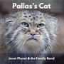 Pallas's Cat