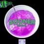 Sooner (Explicit)