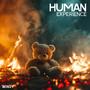 Human Experience (Explicit)