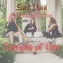 Temple of Om (feat. Vibrant Kundalini)